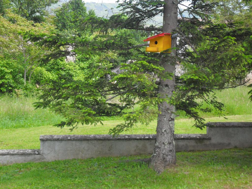 Apartmani Bartulasi Roč Exteriör bild