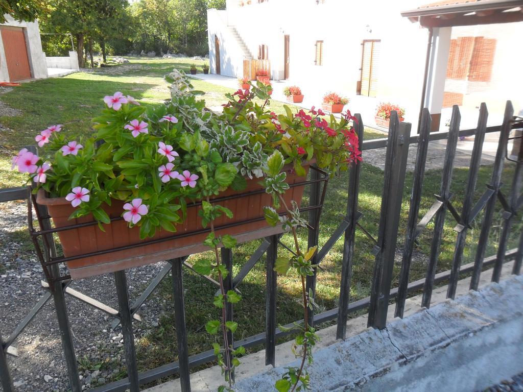 Apartmani Bartulasi Roč Exteriör bild